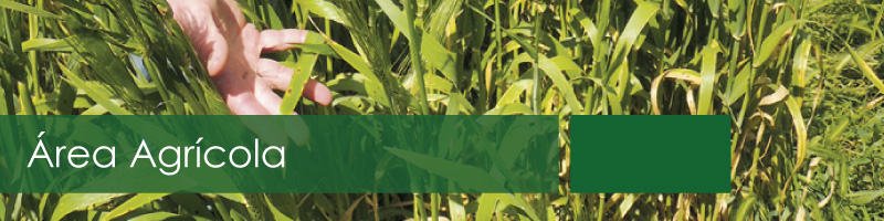 Área Agrícola