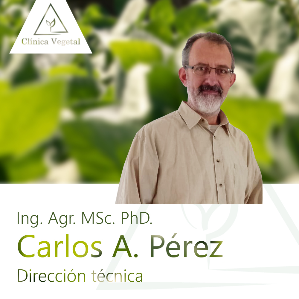 Carlos Perez - Clínica Vegetal Paysandú