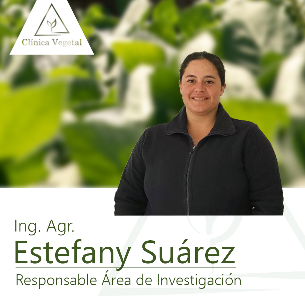 Estefany Suarez - Clínica Vegetal Paysandú