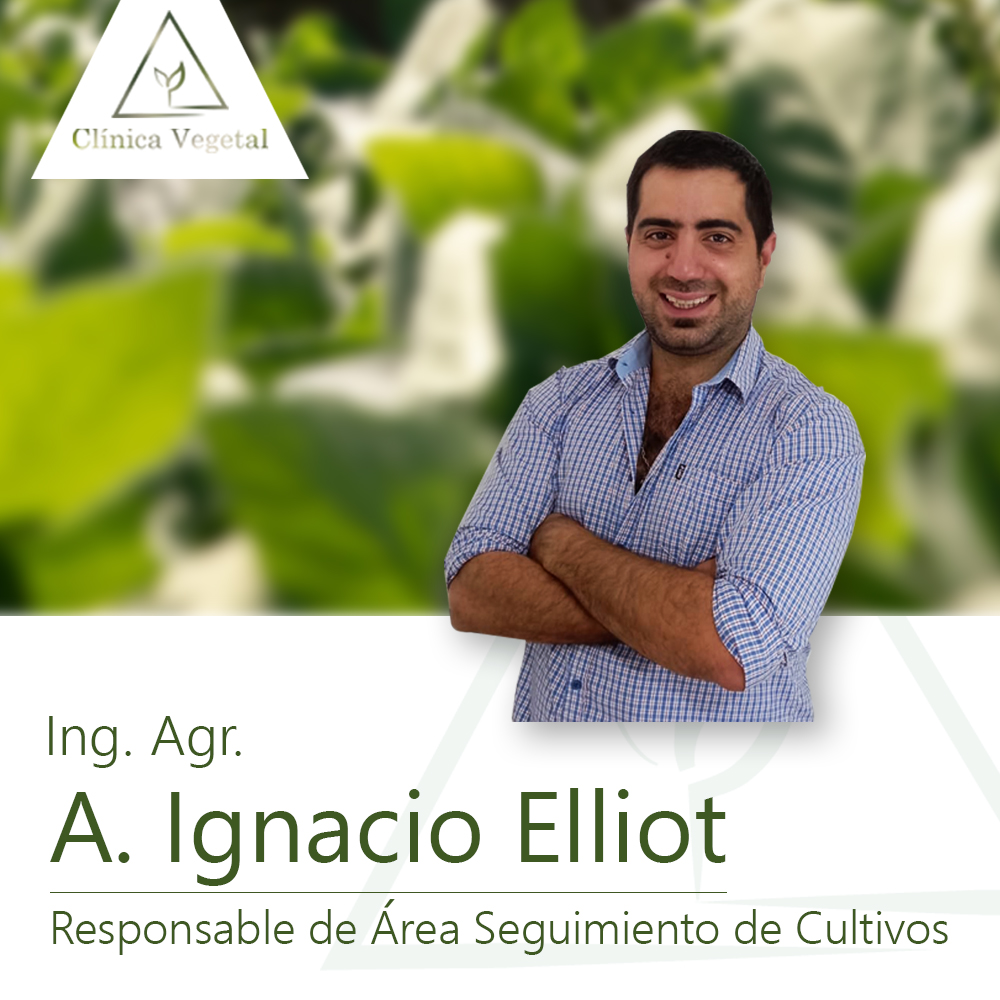 Agustín Elliot - Clínica Vegetal Paysandú