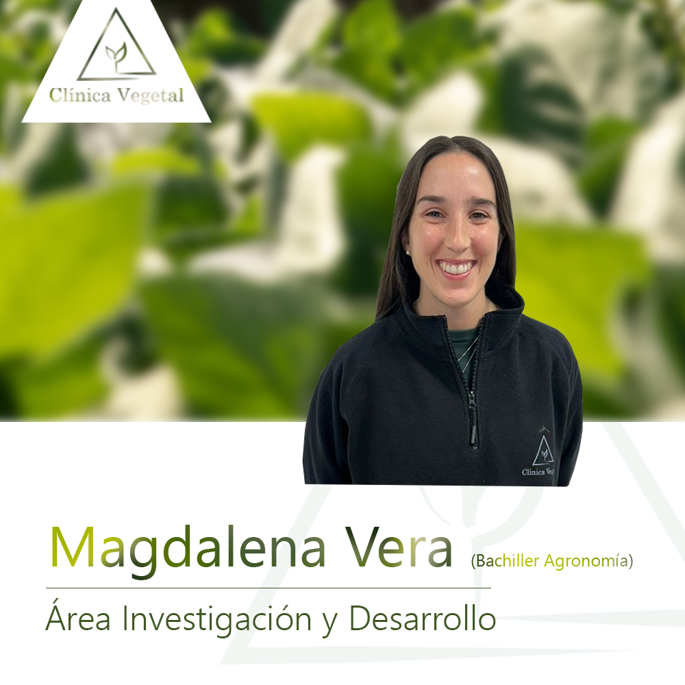 Magdalena Vera - Área Investigación y Desarrollo