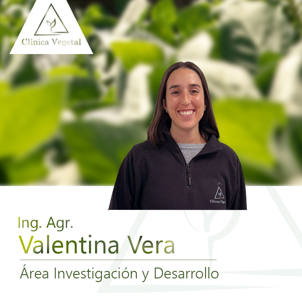 Valentina Vera - Clínica Vegetal Paysandú