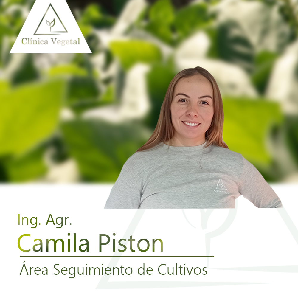 Camila Piston - Clínica Vegetal Paysandú