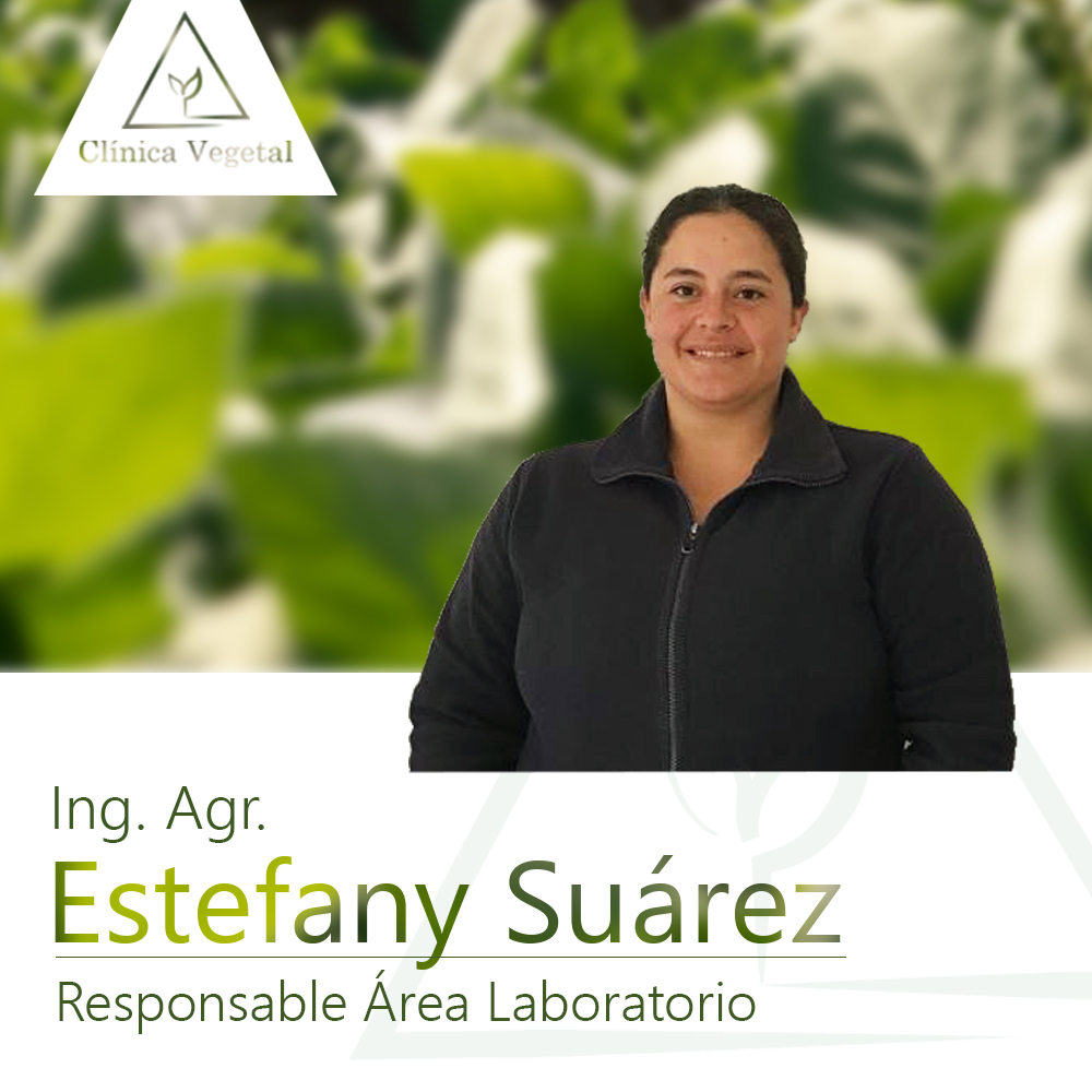 Estefany Suarez - Clínica Vegetal Paysandú