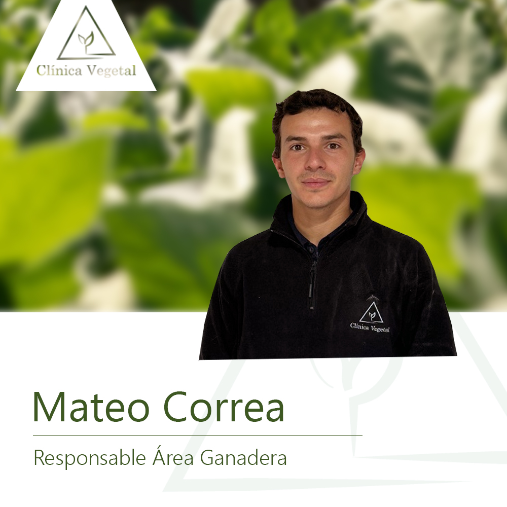 Mateo Correa - Clínica Vegetal Paysandú