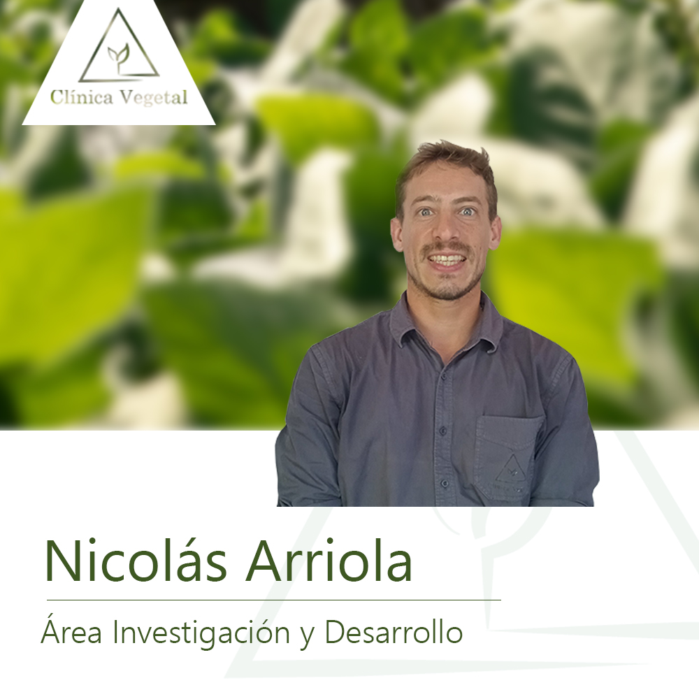 Nicolás Arriola - Clínica Vegetal Paysandú
