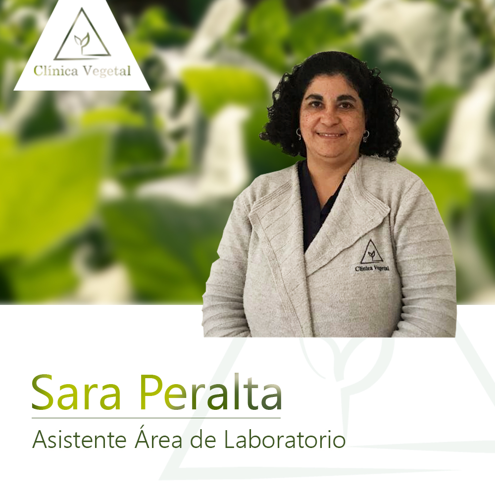 Sara Peralta - Clínica Vegetal Paysandú