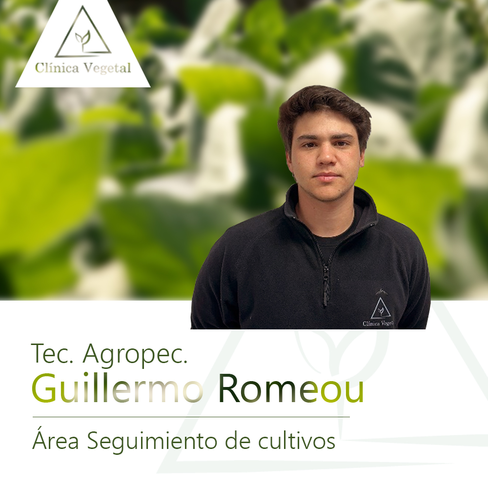 Guillermo Romeou - Clínica Vegetal Paysandú