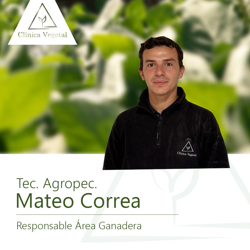 Mateo Correa - Clínica Vegetal Paysandú